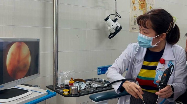 Leech found living in nose of 30-month-old Vietnamese boy- Ảnh 1.