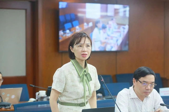 Ho Chi Minh City at low Nipah risk: health authorities- Ảnh 1.