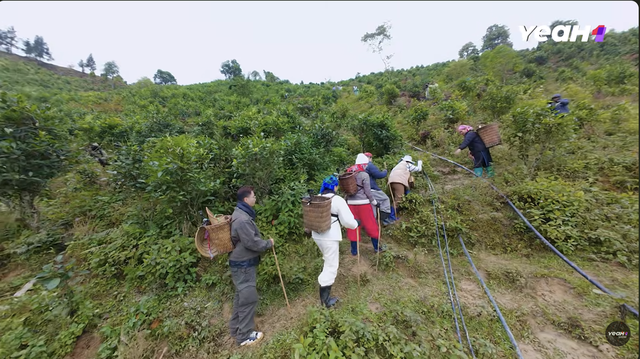 Anh Hà trải lòng cùng Gia đình Haha, rơi nước mắt khi nhắc về bố- Ảnh 7.