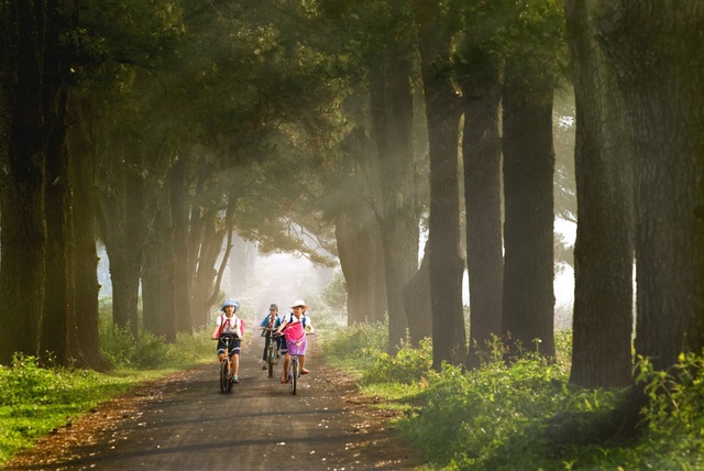 Vietnam’s Gia Lai seeks tourism promotion partnership with CNN - Ảnh 5.