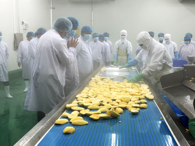 Vietnam’s agro-forestry-fishery exports turn tables, hit $70bn in 2025
- Ảnh 1.