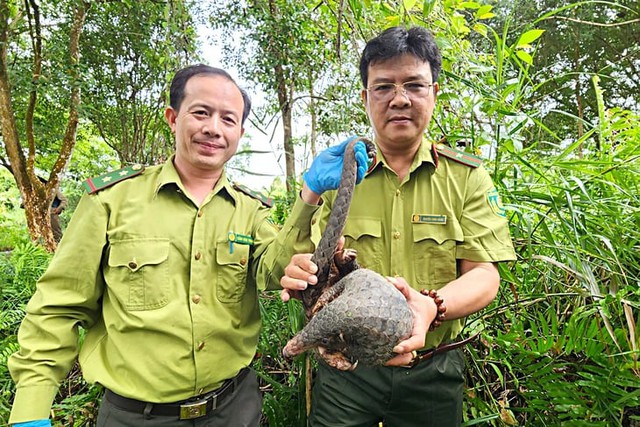 Wildlife rescue efforts sharply grow in Ho Chi Minh City- Ảnh 3.