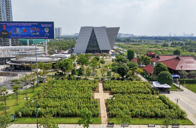 Thu Thiem riverside in Ho Chi Minh City: From overgrown weeds to sunflower garden, modern landmarks
- Ảnh 4. Thu Thiem riverside in Ho Chi Minh City: From overgrown weeds to sunflower garden, modern landmarks
- Ảnh 4.