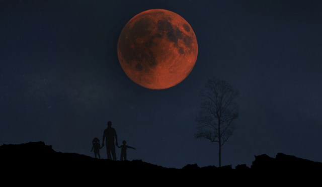 Sky alive with rare astronomical phenomena in 2026
- Ảnh 1. Sky alive with rare astronomical phenomena in 2026
- Ảnh 1.