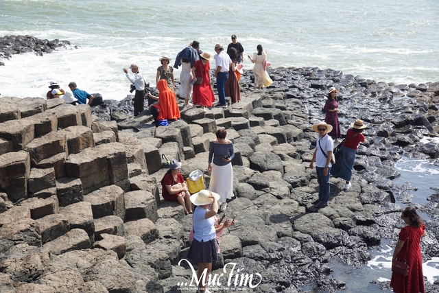 Lộ diện linh vật ngựa đầu tiên chào Xuân Bính Ngọ 2026 tại Đắk Lắk  - Ảnh 4.