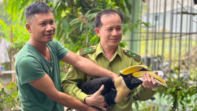 Wildlife rescue efforts sharply grow in Ho Chi Minh City- Ảnh 1.