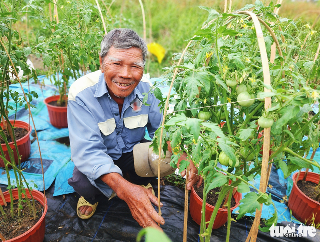 Ho Chi Minh City’s flower village bustles ahead of 2026 Lunar New Year
- Ảnh 1. Ho Chi Minh City’s flower village bustles ahead of 2026 Lunar New Year
- Ảnh 1.
