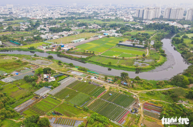 Ho Chi Minh City’s flower village bustles ahead of 2026 Lunar New Year
- Ảnh 3. Ho Chi Minh City’s flower village bustles ahead of 2026 Lunar New Year
- Ảnh 3.