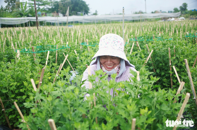 Ho Chi Minh City’s flower village bustles ahead of 2026 Lunar New Year
- Ảnh 5. Ho Chi Minh City’s flower village bustles ahead of 2026 Lunar New Year
- Ảnh 5.
