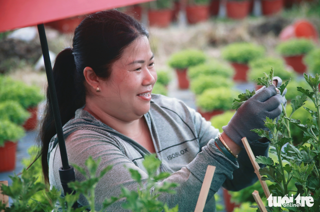 Ho Chi Minh City’s flower village bustles ahead of 2026 Lunar New Year
- Ảnh 9. Ho Chi Minh City’s flower village bustles ahead of 2026 Lunar New Year
- Ảnh 9.