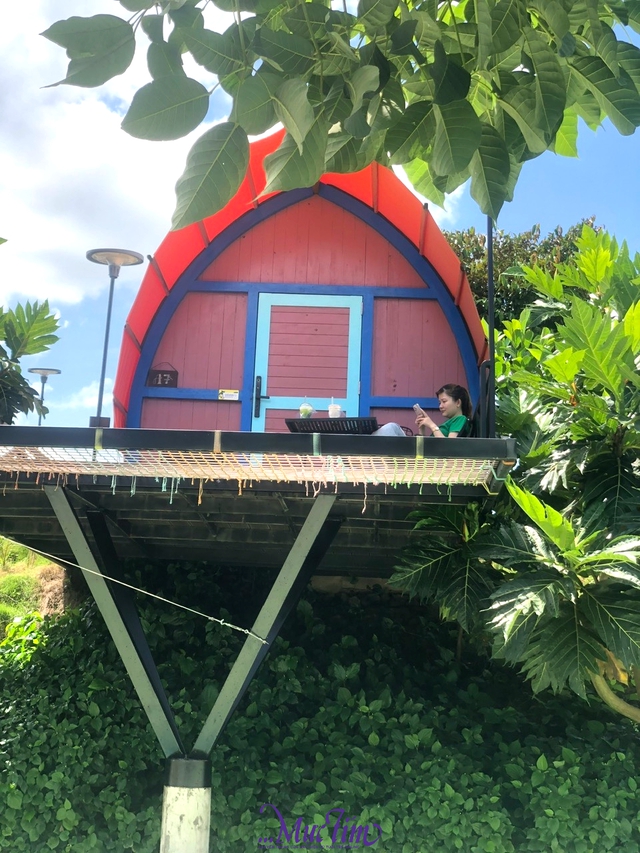 Ghé Đồng Tháp nhớ check in Suối Gạo miễn phí - Ảnh 6.