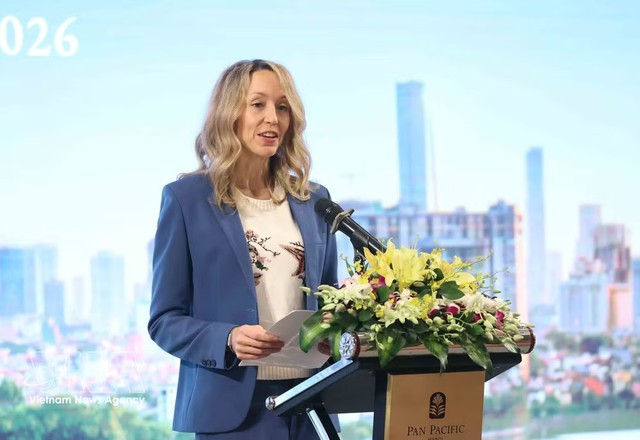 Hosting APEC 2027 a key foreign affairs task for Vietnam through 2030: official - Ảnh 1.