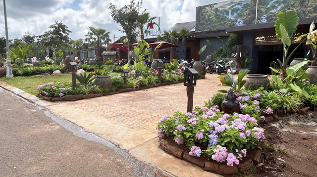 Vietnam café owner fined $483 for unauthorized sidewalk tree planting- Ảnh 1.