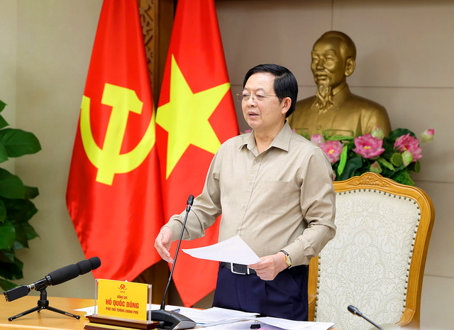 Vietnam targets EC’s IUU fishing ‘yellow card’ removal as top political priority: Deputy PM - Ảnh 1.