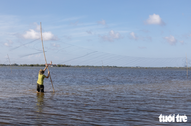 Wild bird traps spread across flooded fields in Vietnam’s Quang Tri - Ảnh 1.