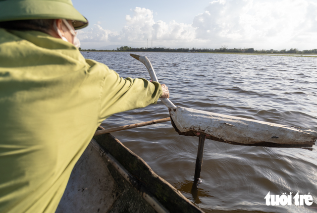 Wild bird traps spread across flooded fields in Vietnam’s Quang Tri - Ảnh 5.