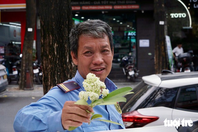Hanoi trims back milkweed flowers after complaints over strong scents - Ảnh 8.