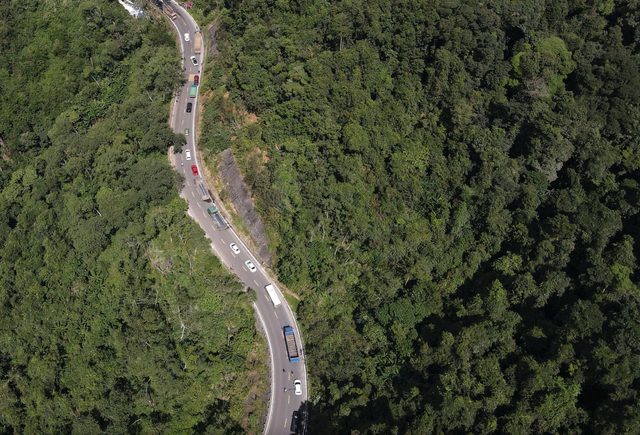 Vietnam's Quang Ngai eyes carbon credit revenue from 826,000 hectares of forest- Ảnh 2.
