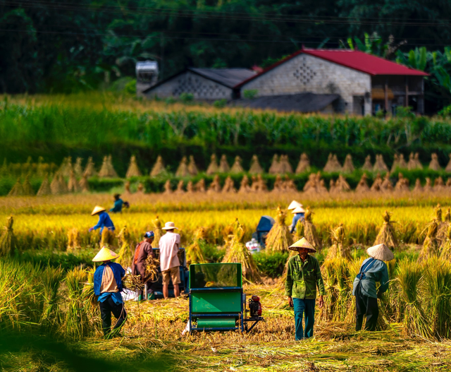 Vietnam's Cao Bang offers poetic autumn scenery along Vietnam-China border - Ảnh 5.