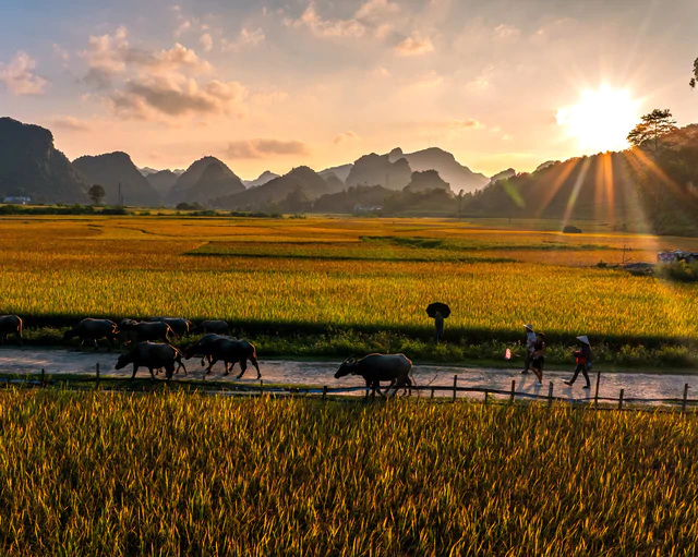 Vietnam's Cao Bang offers poetic autumn scenery along Vietnam-China border - Ảnh 4.