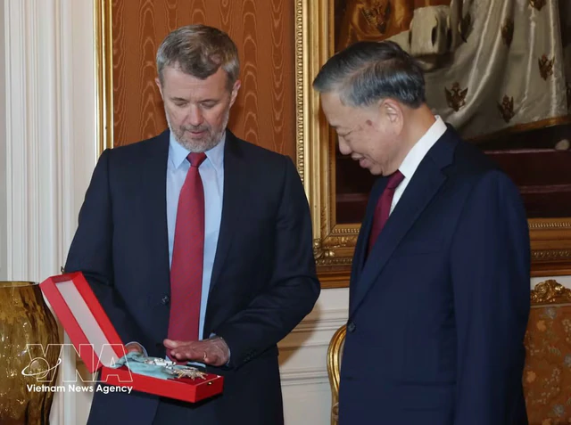 Top Vietnamese leader receives Denmark’s highest-ranked honour - Ảnh 1.