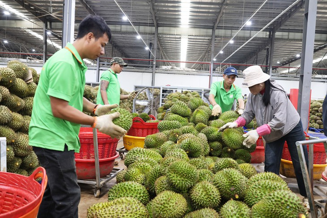 Vietnam’s agricultural exports top $56bn in nine months as China, other Asian markets boost Vietnamese imports - Ảnh 1.