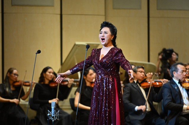 Vietnamese, Chinese music bring audiences together at Hanoi's Ho Guom Opera- Ảnh 4.