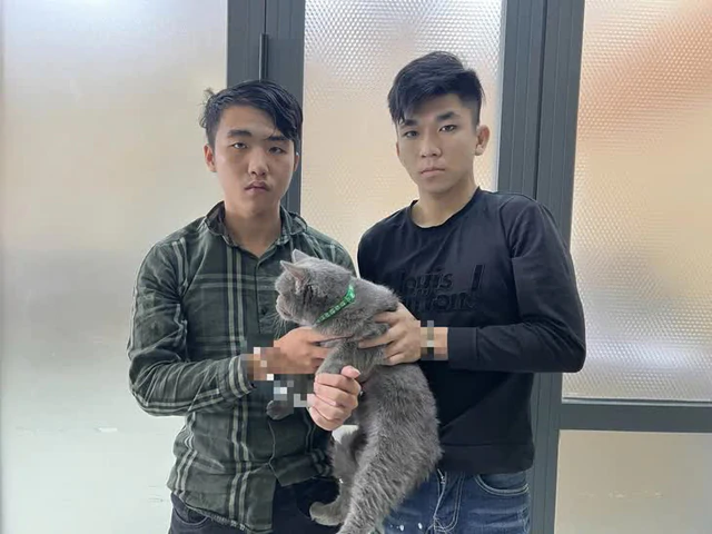 Ho Chi Minh City police crack down on pet theft rings, charge 33 suspects - Ảnh 2.