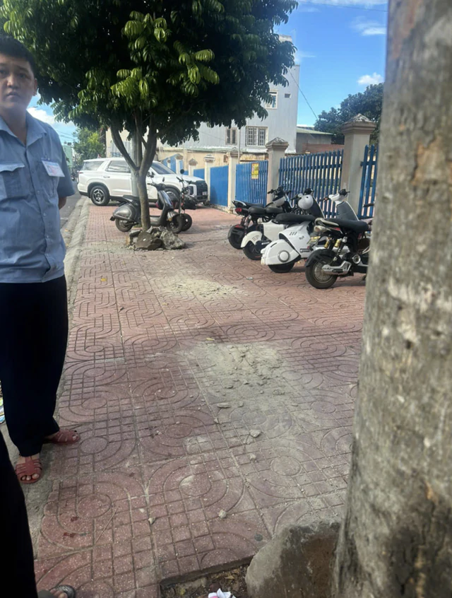 A rocky solution: giant boulders cemented outside Vietnam school to block sidewalk parking- Ảnh 6.