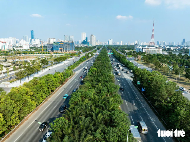 Hanoi bans 18 tree species in public areas - Ảnh 3.