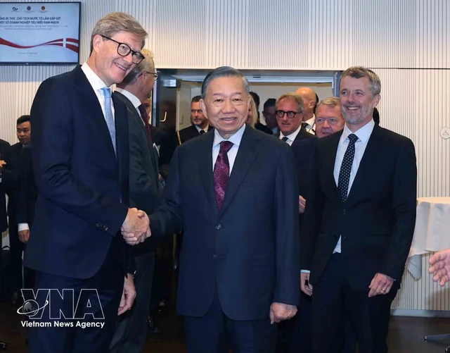 Vietnam's top leader meets leading Danish businesses - Ảnh 1.