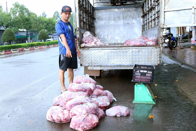 Police bust ring selling 400 tonnes of meat from diseased, dead pigs in Vietnam’s Dong Nai - Ảnh 1.