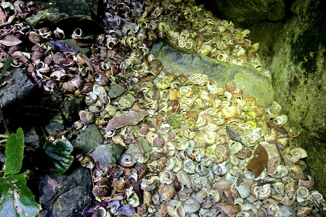 120m-deep sinkhole in Vietnam’s Phong Nha - Ke Bang publicly announced - Ảnh 3.