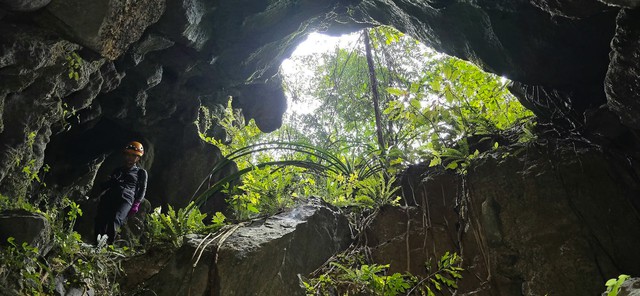 120m-deep sinkhole in Vietnam’s Phong Nha - Ke Bang publicly announced - Ảnh 7.