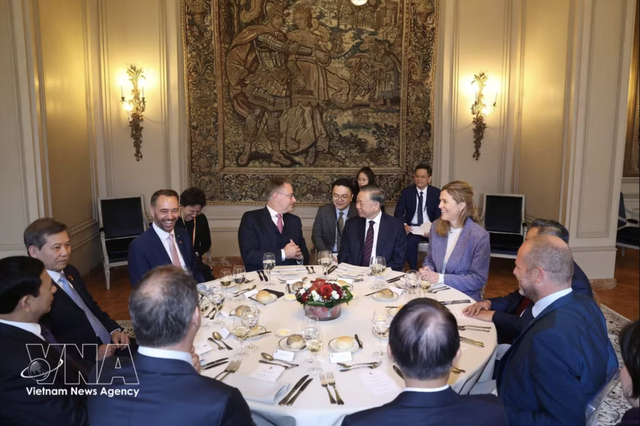 Vietnamese, Belgian leaders agree to enhance multifaceted collaboration- Ảnh 1.