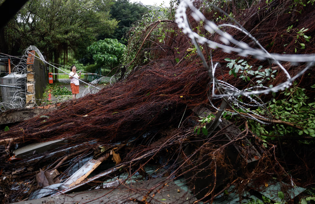 Typhoon Champi sweeps past Taiwan, leaving 1 dead, 500 injured- Ảnh 1.