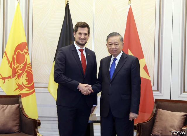 Belgium’s Flanders and Wallonia ready to expand cooperation with Vietnam - Ảnh 2.
