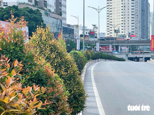 Hanoi adds greenery to urban railway pillars, underpasses, flyovers- Ảnh 5.