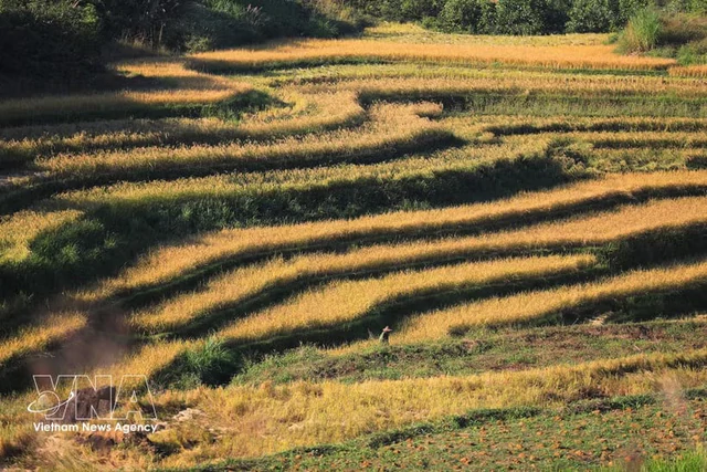 Mien Doi terraced field festival attracts visitors to Phu Tho province - Ảnh 1.