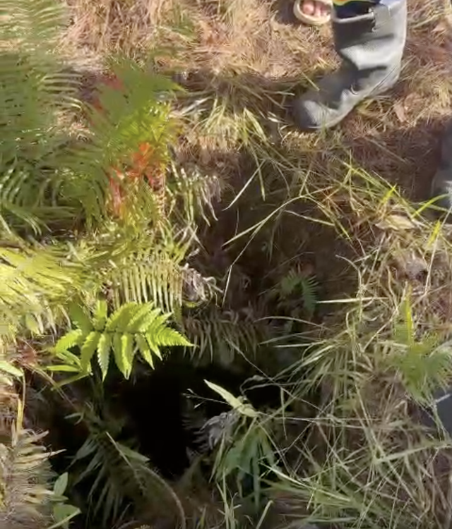 Malaysian tourist falls into 10-meter-deep hole while hiking in Da Lat- Ảnh 2.