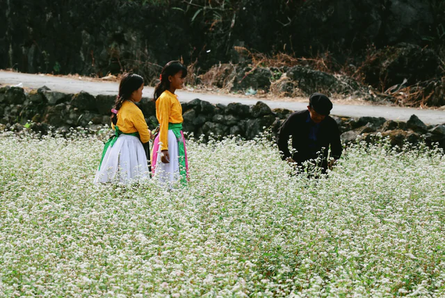 Northern Vietnam's rocky highlands turn pink as buckwheat flower season begins- Ảnh 4.