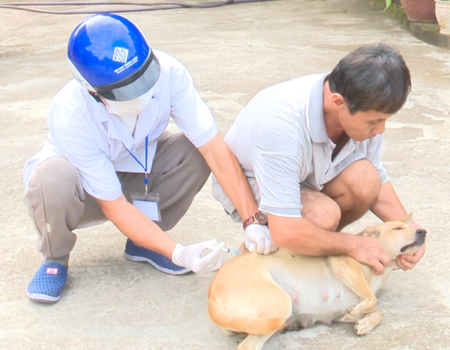Man dies of rabies after dog bite in Vietnam’s Dong Nai- Ảnh 1.