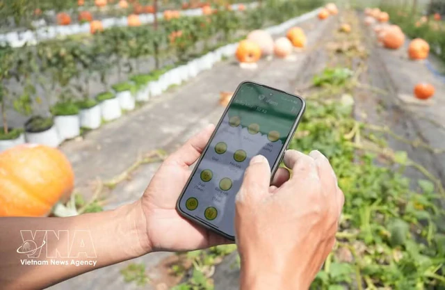 Vietnam steps up sci-tech application in agriculture - Ảnh 1.