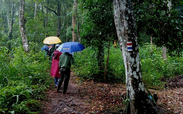 140-year-old Czech trail system comes to Vietnam’s Phong Nha-Ke Bang park - Ảnh 1.