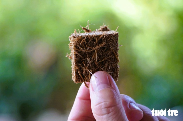 Vietnamese engineer turns rice straw into firelighters for US, Canadian markets- Ảnh 3.
