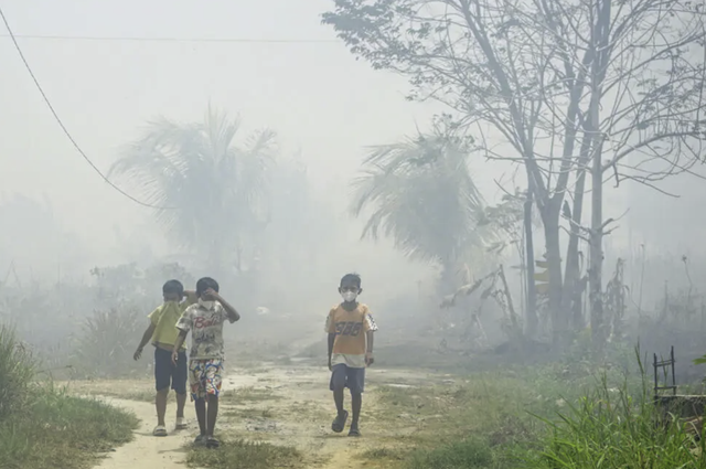 Fire pollution killed 3,560 people in Indonesia in September: report - Ảnh 2.