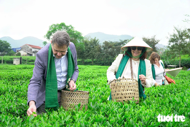 Foreign ambassadors explore Vietnam’s tea culture on heritage train journey - Ảnh 7.