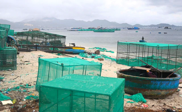 Lobster-farming waste blankets scenic beach in Vietnam’s Cam Ranh Bay - Ảnh 1.