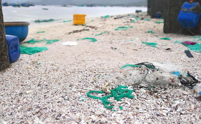 Lobster-farming waste blankets scenic beach in Vietnam’s Cam Ranh Bay - Ảnh 4.