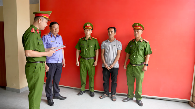 12 prosecuted, detained for allegedly stealing 2,700 cats in Ho Chi Minh City - Ảnh 1.